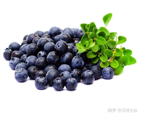 贵州农商（中晟环球）蓝莓交易品种药用价值 - 知乎