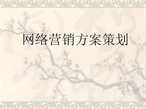 格力2013年春节网络营销，秋山问道-新媒体解决方案专家