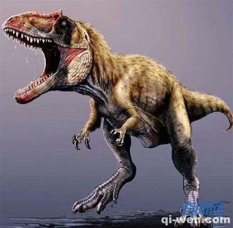 十大最弱的恐龙是什么，比霸王龙强的十大恐龙