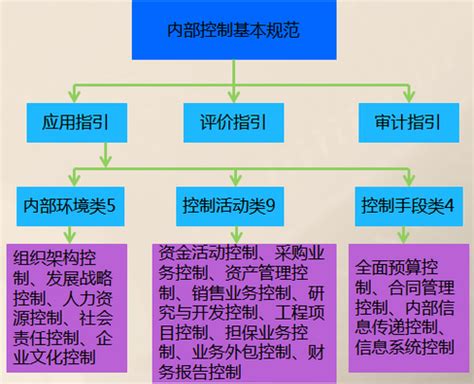 内部控制审计评价工作流程图-中国政法大学审计处