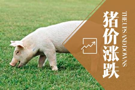 畜牧大数据丨中国生猪市场月报（2022年第03期）_养猪信息网_广东养猪信息网_广东省养猪行业协会主办