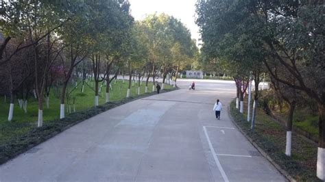开学在即，深圳全市40所中小学校园周边道路安全“大提升”_深圳新闻网