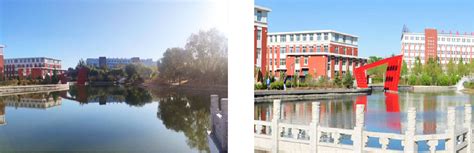 齐齐哈尔大学2018年上半年公开招聘拟聘用人员公示(二）-齐齐哈尔大学