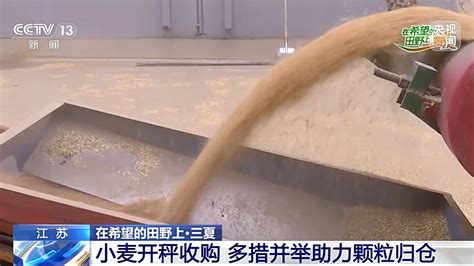 全国已收获冬小麦达1.64亿亩 “三夏”麦收进度过半_荔枝新闻