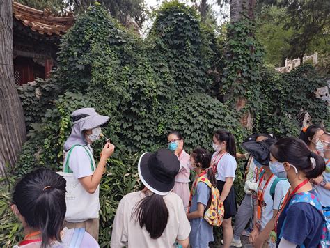 库什瓦哈 的图像结果