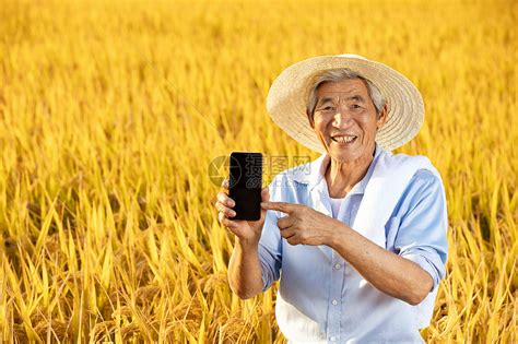 农业专家查看农田—高清视频下载、购买_视觉中国视频素材中心