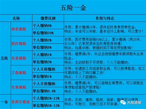 五险一金有什么用？一起来科普__财经头条