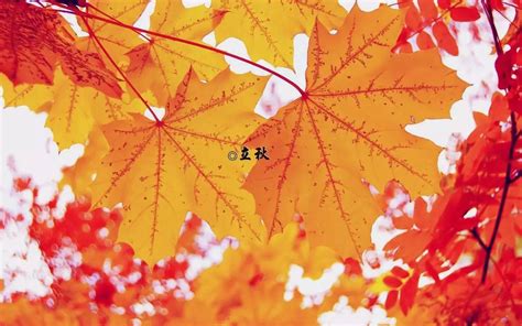 立秋和秋分是什么意思含义-立秋和秋分哪个是秋天的开始 - 见闻坊