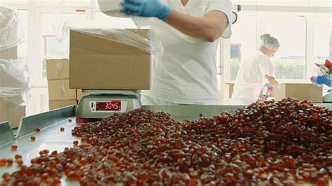 工厂工人包装糖果糖果厂mov格式视频下载_正版视频编号3876514-摄图网