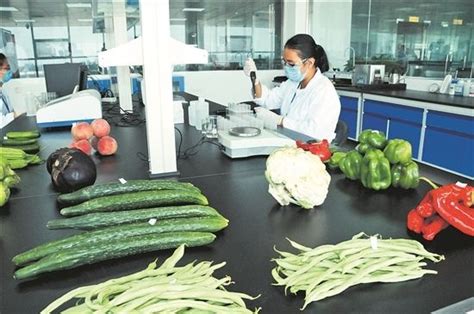 农产品质量检测实验室设计建设 - 广东兴霖实验室建设