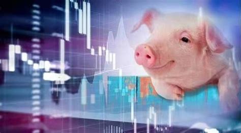 国家发改委称目前生猪产能总体合理充裕，生猪价格不具备持续大幅上涨的基础。一听这话我就怕。 - 知乎