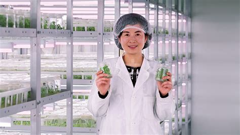 上海星辉种苗农业高新LED植物照明