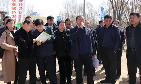 陕西榆林:65家企业认领今春造林任务 - 西部网（陕西新闻网）
