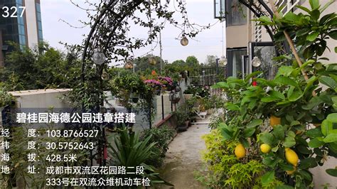 儒林现代城小区住户违规占用公共绿化区域搭建私人养殖场 投诉直通车_华声在线