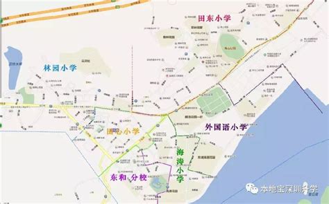2020年盐田区小一初一学区划分情况 你能申请哪所学校- 深圳本地宝