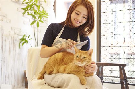 在猫咖给猫梳毛的女人高清图片下载-正版图片502061298-摄图网