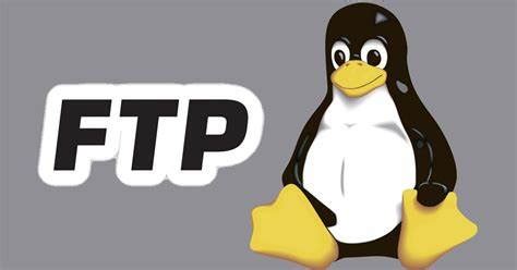 Linux下登录FTP服务器的方式 - 美国主机侦探