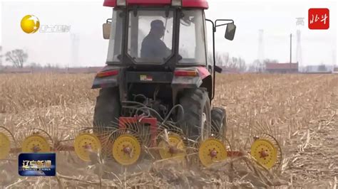 融通农发哈尔滨区域公司农机服务队闯出跨区作业新天地-国际在线