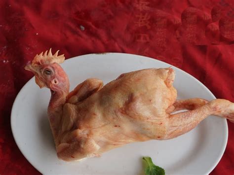 三黄鸡-鸡产品_老马冷库鸡产品_胶州市老马食品冷库厂