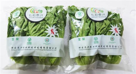 广州蔬菜公司名字(广州蔬菜公司：品质之道)_公司起名_吉名宝起名网