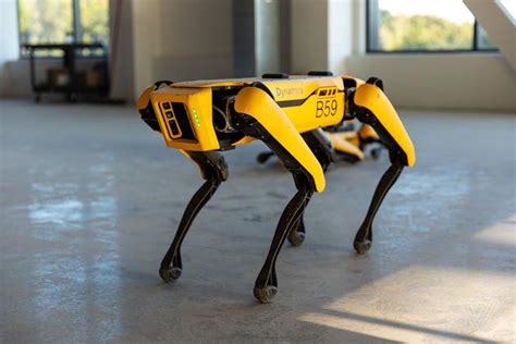 波士顿动力公司为四足机器人Spot添加新功能，或将在工业领域大显身手__财经头条