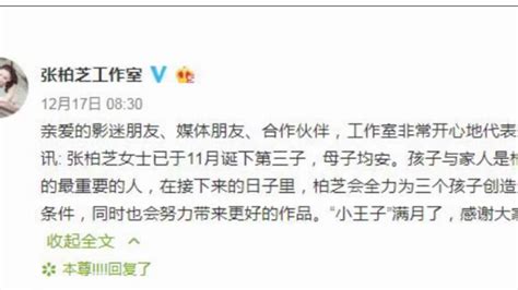 张柏芝工作室确认三胎得子 取名小王子生父依然不明_凤凰网视频_凤凰网