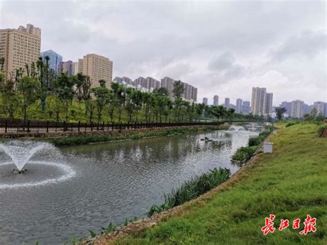 长江日报：龙阳湖明渠华丽变身，“臭水沟”成“清水河”