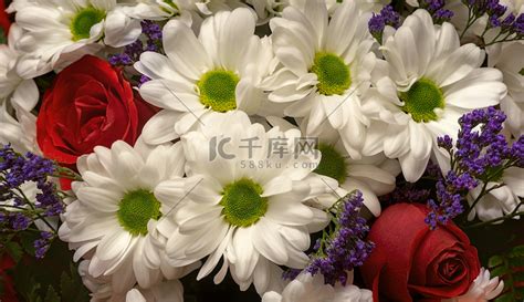 美丽的菊花花束特写。高清摄影大图-千库网