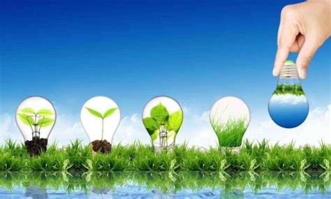 绿色环保项目有哪些（绿色环保小型创业项目有哪些） – 碳资讯