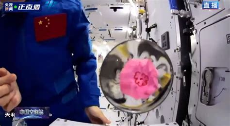 王亚平在太空做了四个和“水”有关的实验，还有一朵从地球上带来的小花