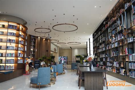 罗湖这家高颜值图书馆上榜2022年广东省“最美新型公共文化空间”_罗湖社区家园网