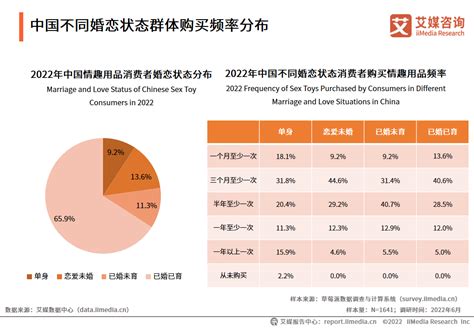 2023年中国情趣用品行业发展现状及未来发展趋势预测报告_市场_特征分析_数据