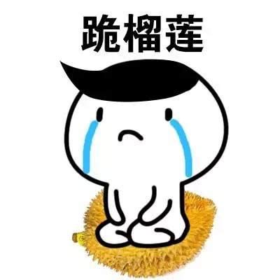 下跪磕头道歉表情包图片 下跪磕头道歉表情包图片