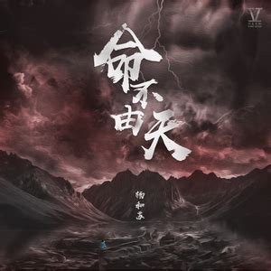 杨和苏 专业伴奏下载 - 原版伴奏网 - 中国最大最全的伴奏网站