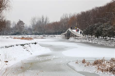 盖着厚厚白雪的江南绿植高清图片下载_红动中国