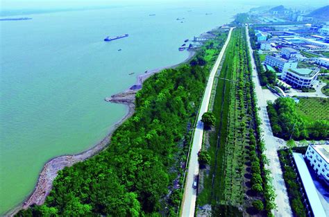 满眼绿色好风光！彭泽打造长江“最美岸线”的生动实践|长江|彭泽_新浪新闻