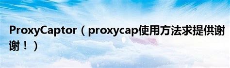 【ProxyCap特别汉化版下载】ProxyCap汉化版 v5.36 简体中文版-开心电玩