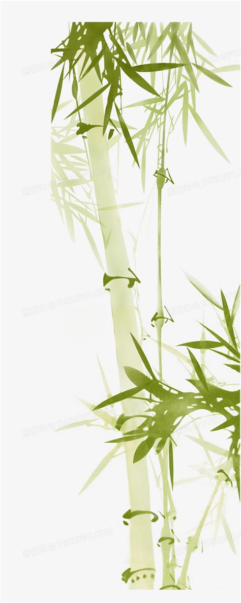 竹子图片绿竹模板PNG素材 高清PNG图片 竹子 绿色 环保 竹叶-淘宝网