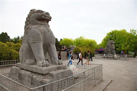北京留存的元代石狮造型独特：顽皮、塌腰、踩银锭_狮子_白塔寺_花纹