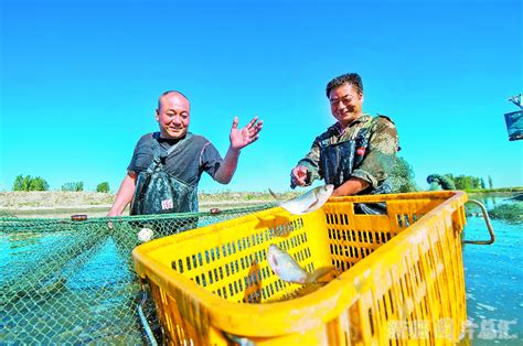 江苏省沿海开发集团：肥鱼满舱迎丰收 绿色种养护生态_中国江苏网