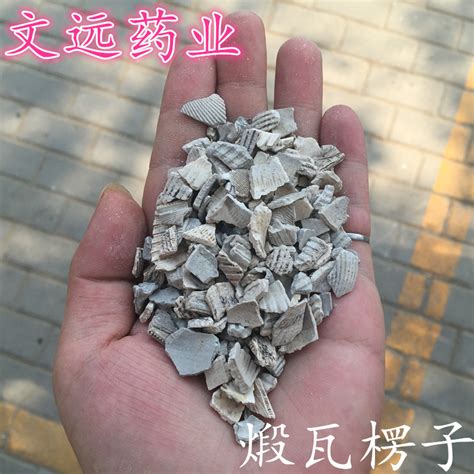 瓦楞子图片