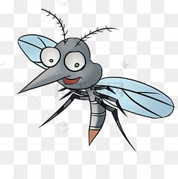 在农村常见的一种很小象小黑点一样的小蚊子叫什么名字？答案来了_麦子
