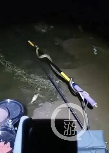 辟谣！已报案！“三岔湖有人放蛇”视频拍摄地找到了