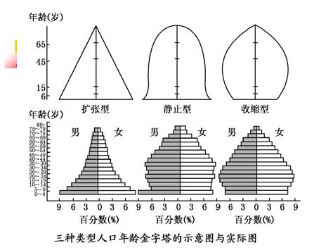 关于人口金字塔的判读方法和分析技巧__凤凰网