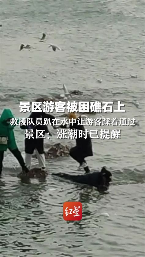 景区游客被困礁石上，救援队员趴在水中让游客踩着通过_凤凰网视频_凤凰网
