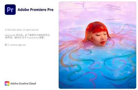 Adobe Premiere2023永久版下载教程pr2023和谐版安装包-阿里云开发者社区