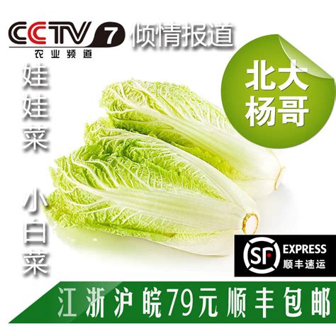 天然无公害有机绿色新鲜蔬菜海报图片_海报_编号7097603_红动中国