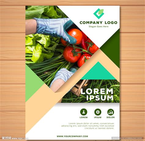 有机蔬菜天然农产品绿色食品创意宣传海报设计图片下载_psd格式素材_熊猫办公