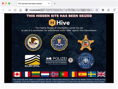 Hive ransomware leak site and decryption keys seized in police sting ...