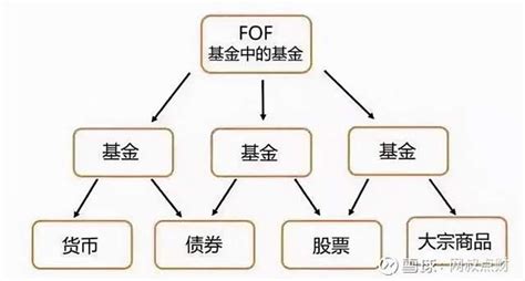 了解FOF基金看这篇就够了：FOF基金全网最全攻略 - 知乎